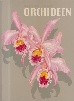 Seller image for Orchideen : in Wort und Bild Sammelbilderalbum Wort: K. H. Meyer. Bild: Kurt Beyer for sale by Allguer Online Antiquariat