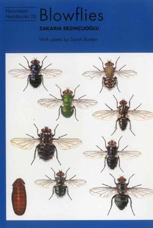 Seller image for Blowflies for sale by GreatBookPrices