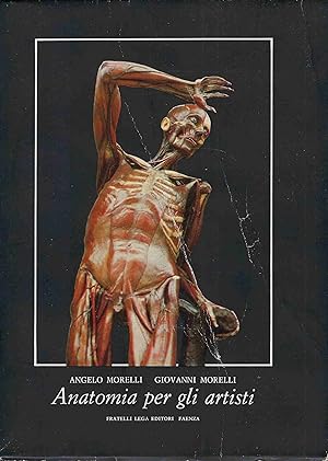 Immagine del venditore per Anatomia per gli artisti venduto da DRBOOKS