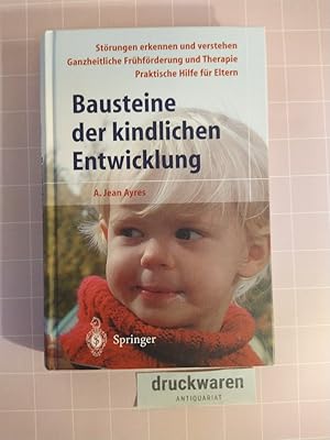 Imagen del vendedor de Bausteine der kindlichen Entwicklung. Die Bedeutung der Integration der Sinne fr die Entwicklung des Kindes. a la venta por Druckwaren Antiquariat