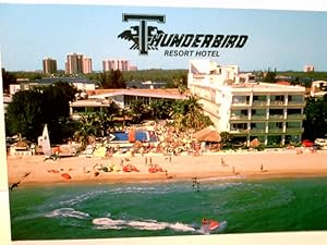 Miami Beach. Thunderbird Resort Hotel. Florida. Alte Ansichtskarte / Postkarte farbig ungel. ca 9...