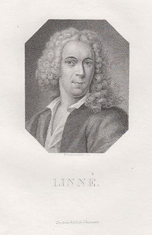 Seller image for Carl von Linn, vor der Erhebung in den Adelsstand Carl Nilsson Linnus (Rshult bei lmhult 23. 05. 1707 - 10. 01. 1778 Uppsala). Schwed. Naturwissenschaftler, der mit der binominalen Nomenklatur die Grundlagen der modernen botanischen und zoologischen Taxonomie schuf. Er war Mitbegrnder der schwed. Akademie der Wissenschaften und deren 1. Prsident. Brustbild,. for sale by Antiquariat Clemens Paulusch GmbH