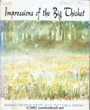 Imagen del vendedor de Impressions of the Big Thicket a la venta por booksforcomfort