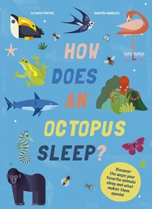 Image du vendeur pour How Does an Octopus Sleep? : Discover the Ways Your Favorite Animals Sleep mis en vente par GreatBookPrices