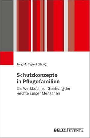 Bild des Verkufers fr Schutzkonzepte in Pflegefamilien zum Verkauf von Rheinberg-Buch Andreas Meier eK