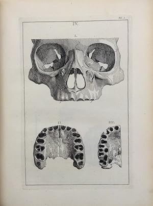 Bild des Verkufers fr Academicarum annotationum liber primus (- sextus) = Teil 1-6 (von 8) in 1 Band. zum Verkauf von Buch & Consult Ulrich Keip