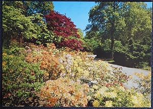 Southampton Postcard Exbury Gardens