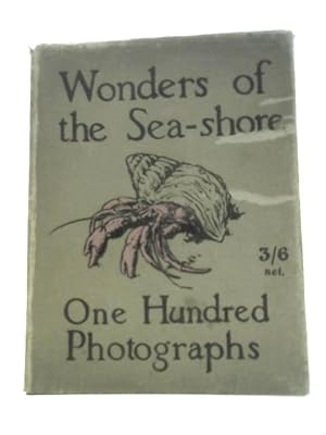 Image du vendeur pour Wonders of the Seashore mis en vente par World of Rare Books