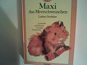 Seller image for Maxi, das Meerschweinchen for sale by ANTIQUARIAT FRDEBUCH Inh.Michael Simon