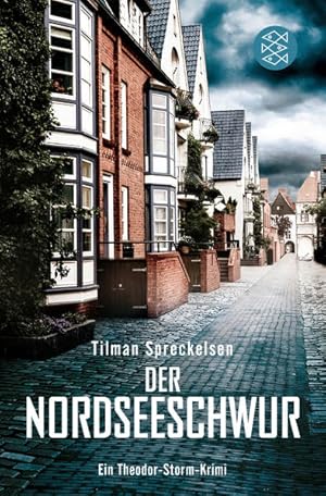 Der Nordseeschwur: Ein Theodor-Storm-Krimi