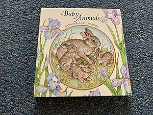 BABY ANIMALS A CHANGE-A-PICTURE BOOK