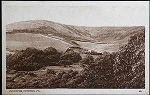 Luccombe Common Postcard Isle Of Wight Collectable Bay Series Publisher
