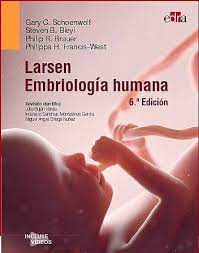 Seller image for LARSEN. Embriologa Humana for sale by Vuestros Libros