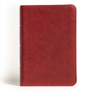 Imagen del vendedor de NASB Large Print Compact Reference Bible, Burgundy Leathertouch (Leather / Fine Binding) a la venta por BargainBookStores