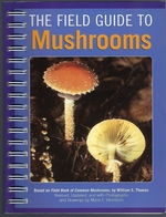 Seller image for The Field Guide to Mushrooms for sale by Mom's Resale and Books