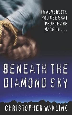 Bild des Verkufers fr Beneath the Diamond Sky zum Verkauf von WeBuyBooks