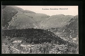 Carte postale Niederbronn, Forsthaus Herrenberg (Münstertal)