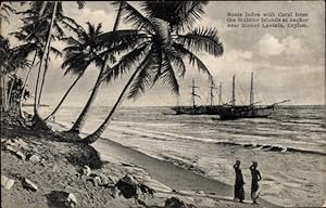 Immagine del venditore per Ansichtskarte / Postkarte Ceylon Sri Lanka, Boats laden with Coral from the Maldive Islands at anchor near Mount Lavinia venduto da akpool GmbH