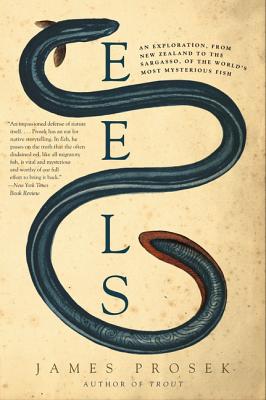 Imagen del vendedor de Eels: An Exploration, from New Zealand to the Sargasso, of the World's Most Mysterious Fish (Paperback or Softback) a la venta por BargainBookStores
