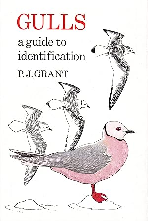 Seller image for Gulls: A Guide to Identification for sale by Loudoun Books Ltd