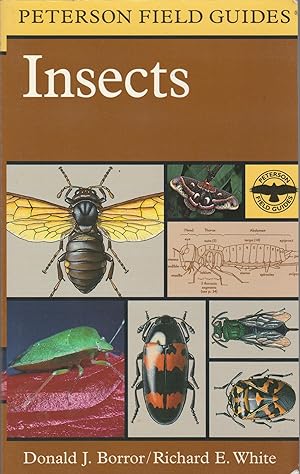 Field Guide to Insects