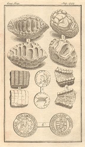 [Fig 1 to 4 - Fossil palates of animals found at Shepey in Kent; Fig 5- An ancient coin (Roman?);...