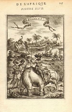 Elefans - De L'Afrique