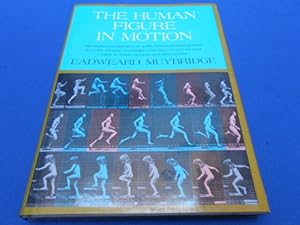 The human figure in motion