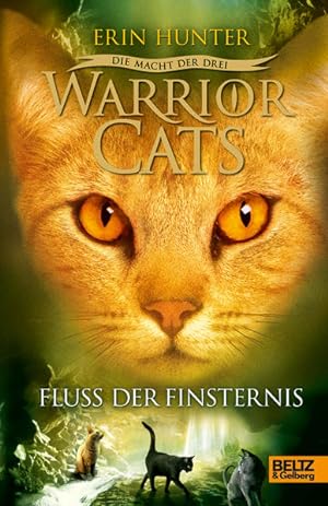Warrior Cats - Die Macht der drei. Fluss der Finsternis: III, Band 2