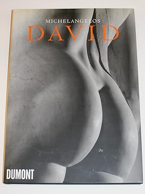 Bild des Verkufers fr Michelangelos David. zum Verkauf von Antiquariat Diderot