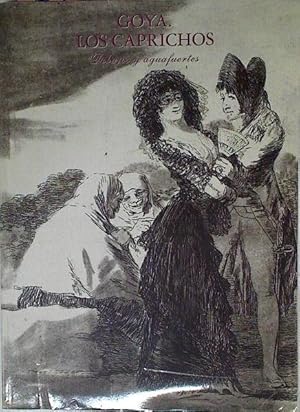 Imagen del vendedor de Goya Los Caprichos Dibujos Y Aguafuertes a la venta por Almacen de los Libros Olvidados