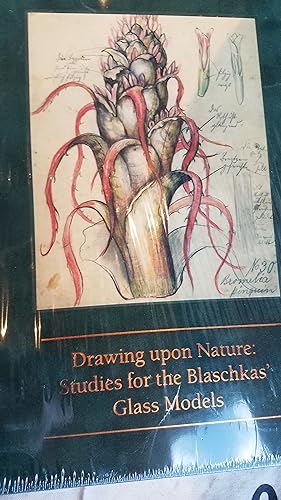 Seller image for Drawing Upon Nature Studies For Blaschkas Glass Models for sale by Fantastic Book Discoveries