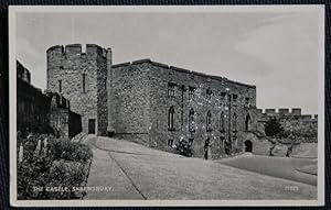 Shrewsbury Postcard The Castle Shropshire