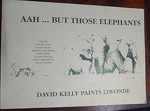 Ahh. But Those Elephants. David Kelly Paints Liwonde
