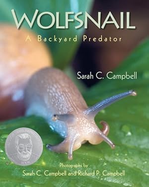 Imagen del vendedor de Wolfsnail : A Backyard Predator a la venta por GreatBookPrices