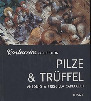 Bild des Verkufers fr Pilze & Trffel. Carluccios Collection. zum Verkauf von Versandantiquariat Ottomar Khler