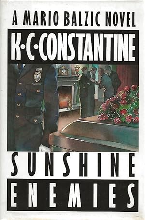 Seller image for Sunshine Enemies for sale by Badger Books