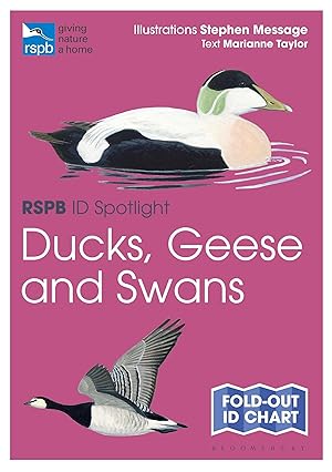 Bild des Verkäufers für RSPB ID Spotlight - Ducks, Geese and Swans zum Verkauf von moluna