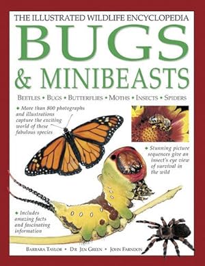 Imagen del vendedor de The Illustrated Wildlife Encyclopedia: Bugs & Minibeasts: Beetles, Bugs, Butterflies, Moths, Insects, Spiders by Barbara Taylor, Jen Green, John Farndon [Paperback ] a la venta por booksXpress