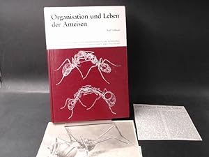 Organisation und Leben der Ameisen. [Bücher der Zeitschrift Naturwissenschaftliche Rundschau, Her...