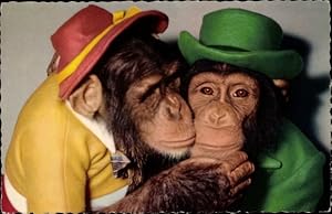 Ansichtskarte / Postkarte Schimpansen in Kleidung, Hüte