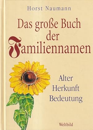 Das große Buch der Familiennamen : Alter, Herkunft, Bedeutung.