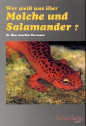 Bild des Verkufers fr Wer wei was ber Molche und Salamander zum Verkauf von Gerald Wollermann