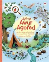 Seller image for James, A: Llyfr yr Awyr Agored for sale by moluna