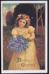 Birthday Greetings Postcard