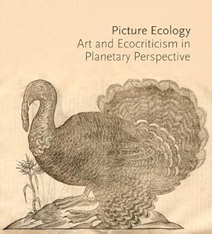 Seller image for Picture Ecology: Art and Ecocriticism in Planetary Perspective (Paperback or Softback) for sale by BargainBookStores