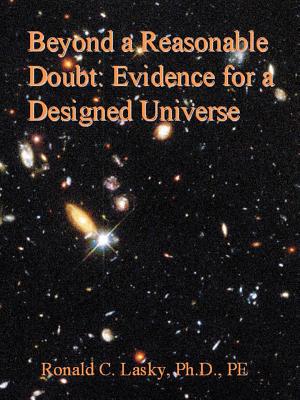 Seller image for Beyond a Reasonable Doubt: Evidence for a Designed Universe (Paperback or Softback) for sale by BargainBookStores