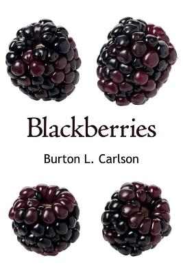Bild des Verkufers fr Blackberries (Paperback or Softback) zum Verkauf von BargainBookStores
