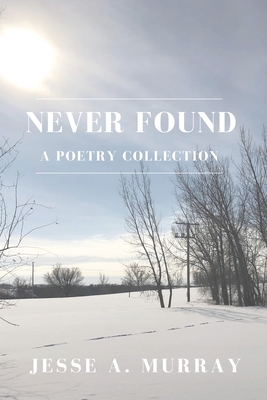Seller image for Never Found (Paperback or Softback) for sale by BargainBookStores