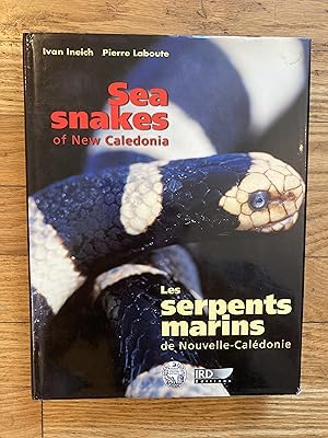 SEA SNAKES OF NEW CALEDONIA